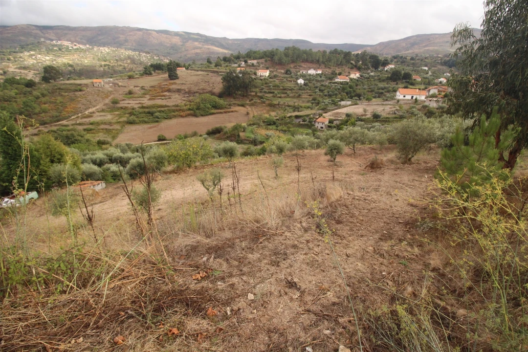 Terreno para Venda em Figueiró da Serra e Freixo da Serra Foto 9