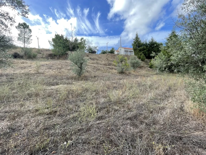 Terreno para Venda em Figueiró da Serra e Freixo da Serra Foto 2