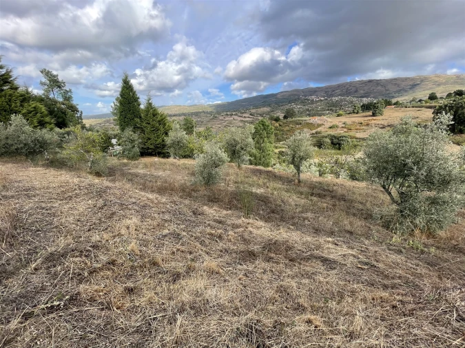 Terreno para Venda em Figueiró da Serra e Freixo da Serra Foto 1