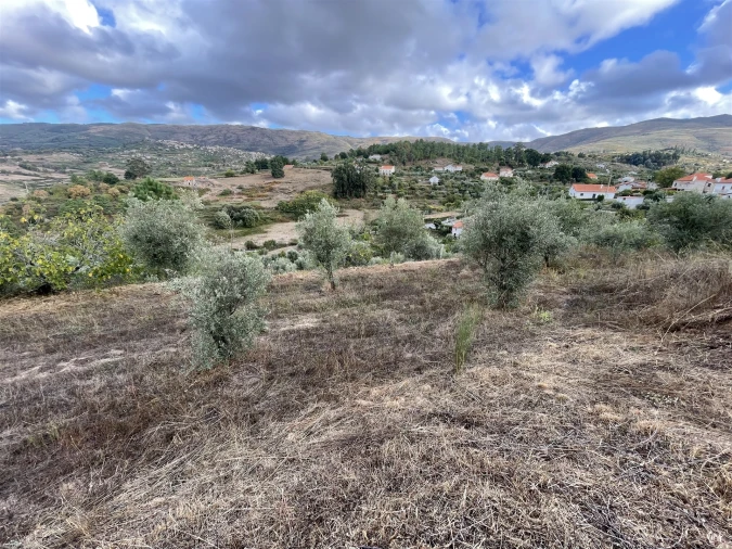 Terreno para Venda em Figueiró da Serra e Freixo da Serra Foto 8