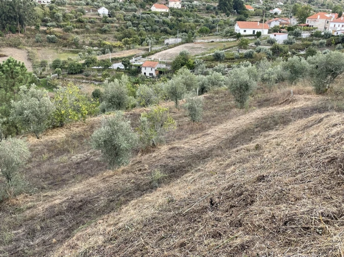 Terreno para Venda em Figueiró da Serra e Freixo da Serra Foto 7