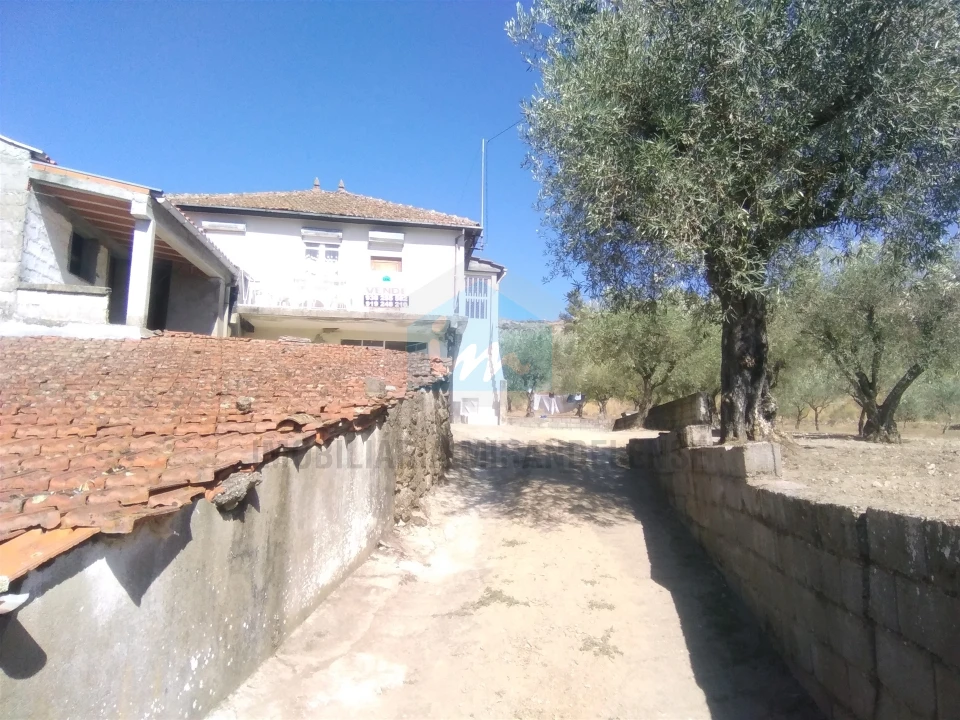 Moradia T3 para Venda em Candoso e Carvalho de Egas Foto 2
