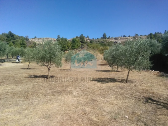 Moradia T3 para Venda em Candoso e Carvalho de Egas Foto 8