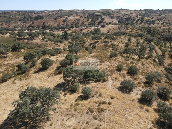 Quinta T3 para Venda em Santa Clara-A-Nova e Gomes Aires Foto 4