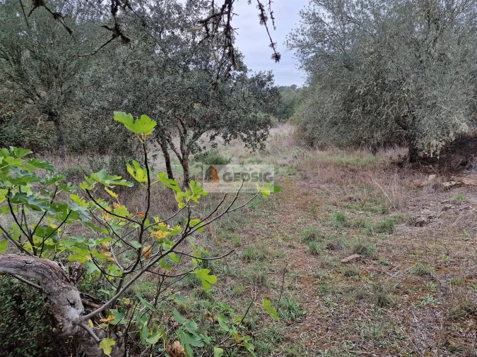 Quinta T3 para Venda em Santa Clara-A-Nova e Gomes Aires Foto 11