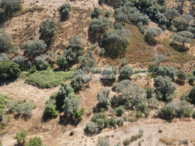 Quinta T3 para Venda em Santa Clara-A-Nova e Gomes Aires Foto 3