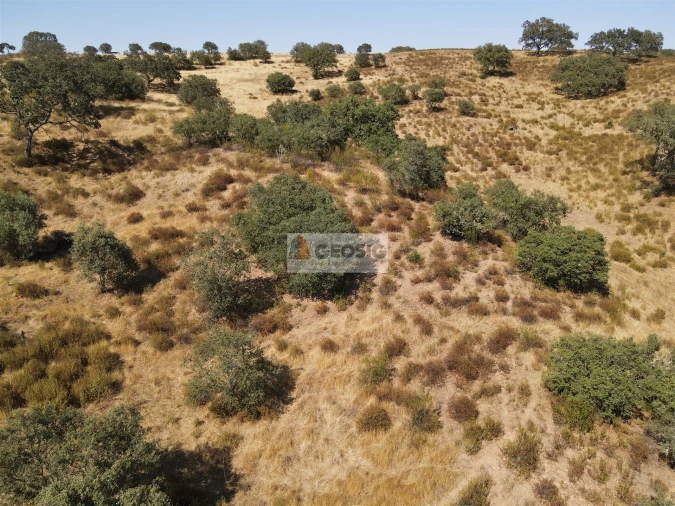 Quinta T3 para Venda em Santa Clara-A-Nova e Gomes Aires Foto 6