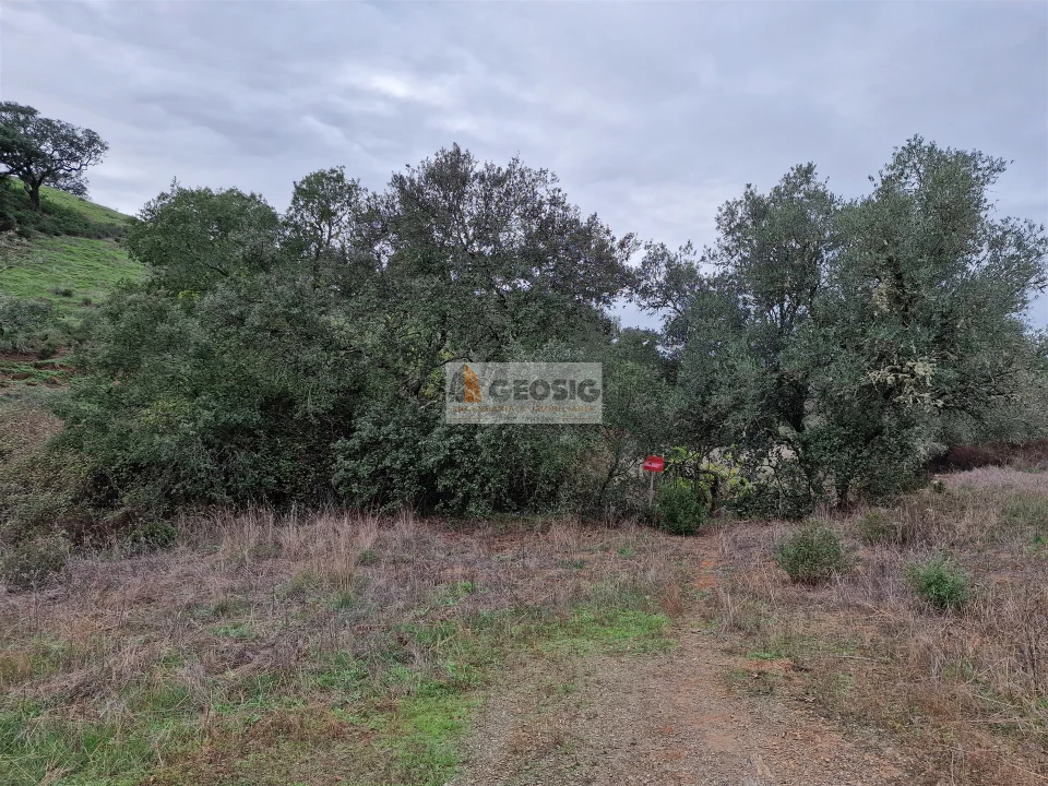 Quinta T3 para Venda em Santa Clara-A-Nova e Gomes Aires Foto 9