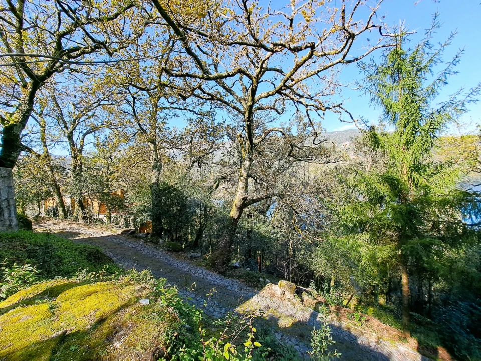 Quinta T9 para Venda em Parada do Bouro Foto 15