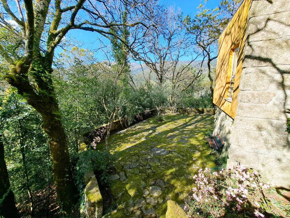 Quinta T9 para Venda em Parada do Bouro Foto 63