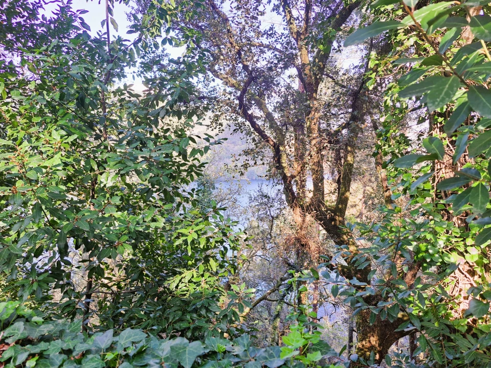 Quinta T9 para Venda em Parada do Bouro Foto 43