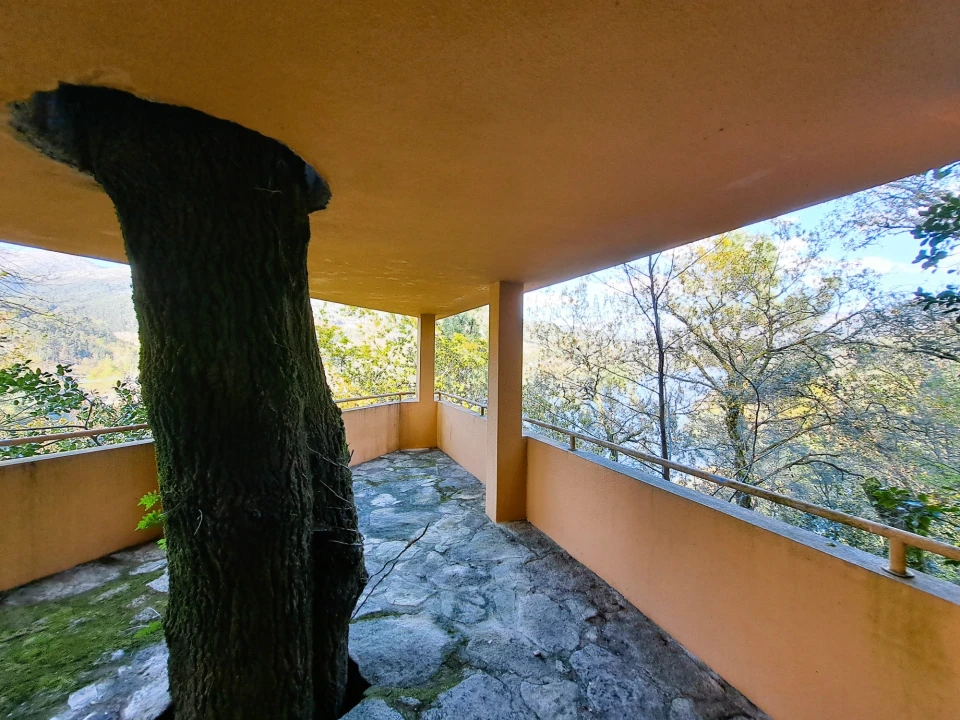 Quinta T9 para Venda em Parada do Bouro Foto 91