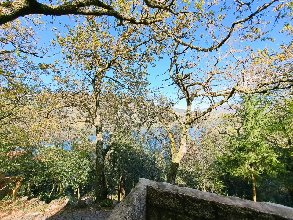 Quinta T9 para Venda em Parada do Bouro Foto 32