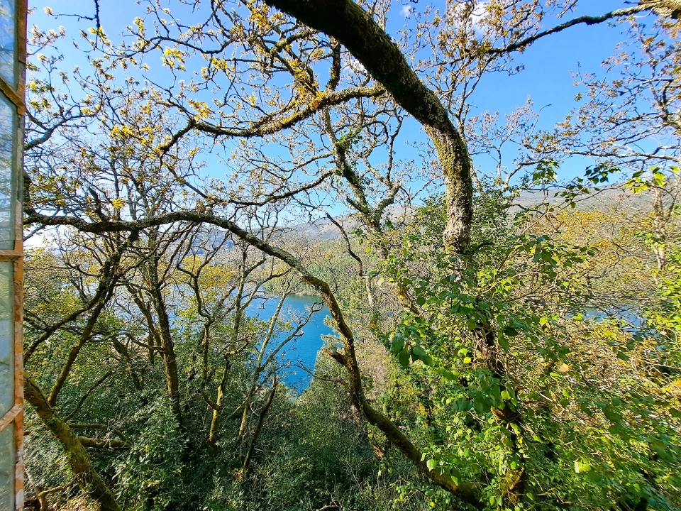 Quinta T9 para Venda em Parada do Bouro Foto 88