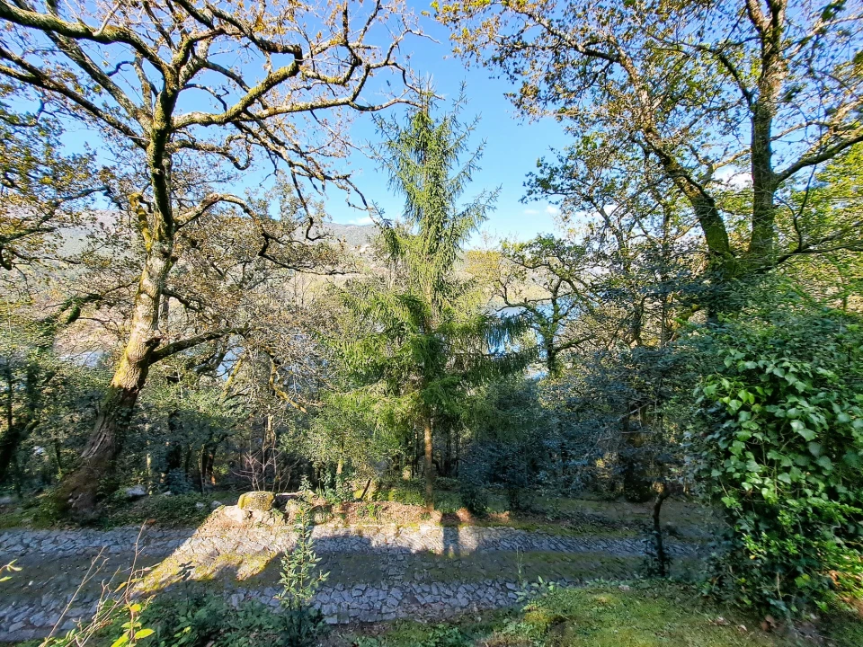 Quinta T9 para Venda em Parada do Bouro Foto 14