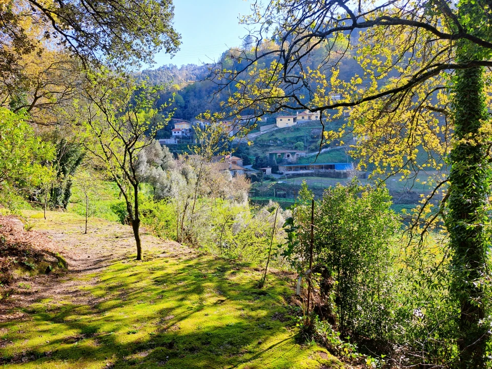 Quinta T9 para Venda em Parada do Bouro Foto 99