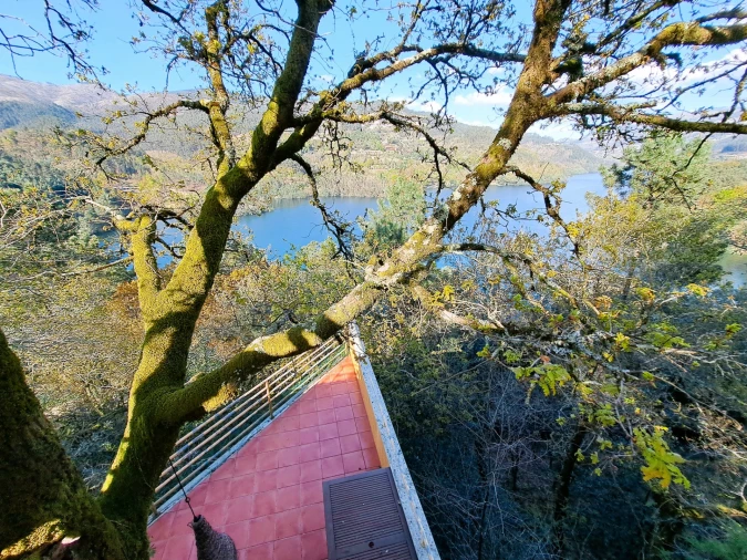 Quinta T9 para Venda em Parada do Bouro Foto 86