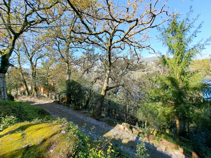 Quinta T9 para Venda em Parada do Bouro Foto 15