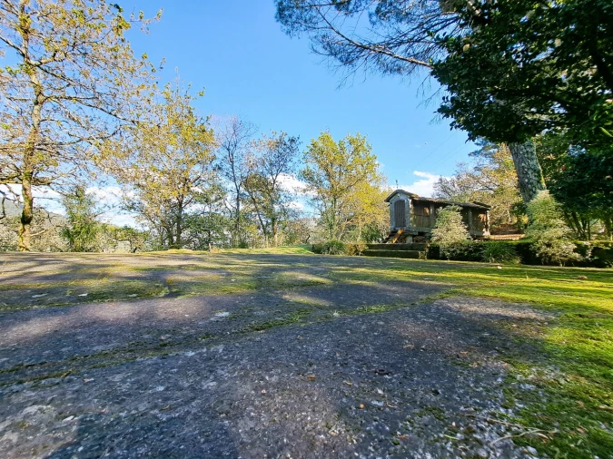 Quinta T9 para Venda em Parada do Bouro Foto 101