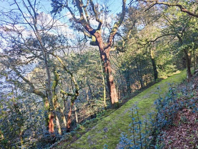 Quinta T9 para Venda em Parada do Bouro Foto 89