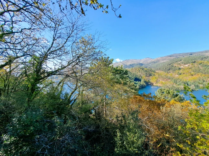 Quinta T9 para Venda em Parada do Bouro Foto 74