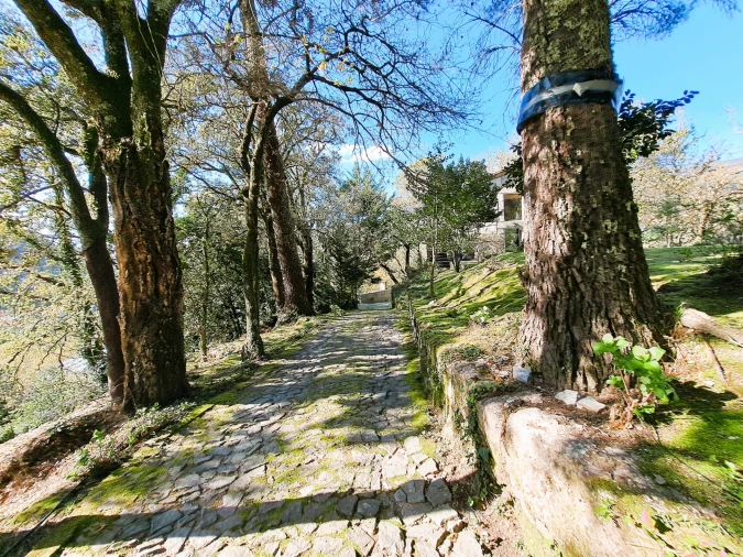 Quinta T9 para Venda em Parada do Bouro Foto 44