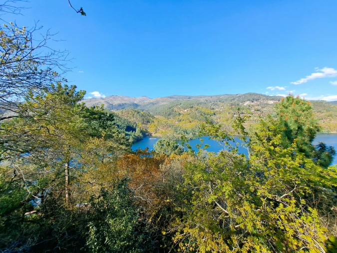 Quinta T9 para Venda em Parada do Bouro Foto 73