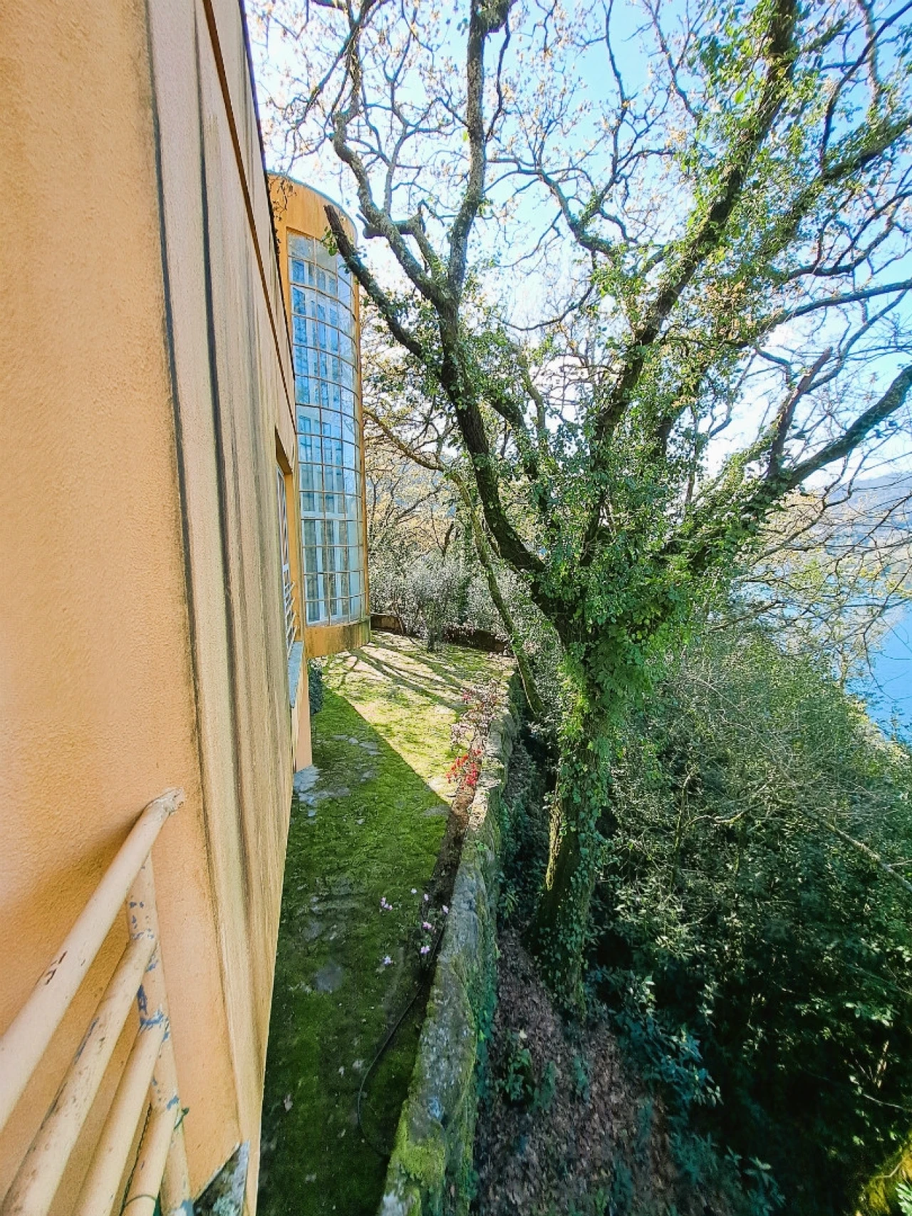 Quinta T9 para Venda em Parada do Bouro Foto 76