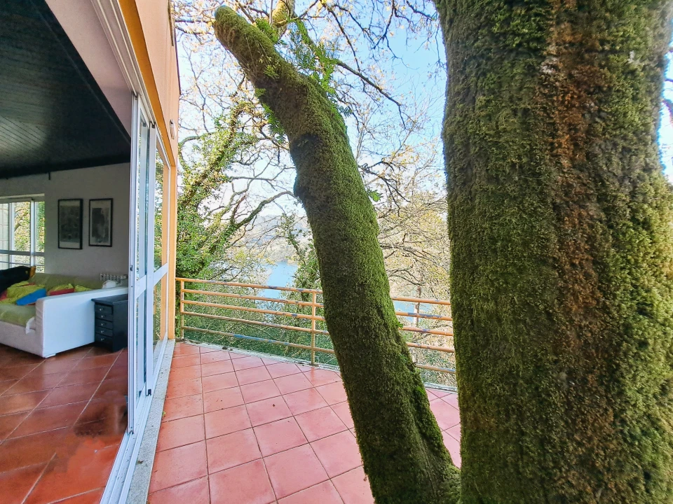 Quinta T9 para Venda em Parada do Bouro Foto 75