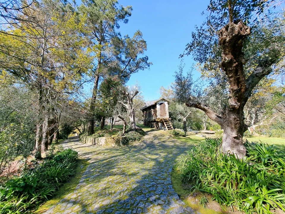 Quinta T9 para Venda em Parada do Bouro Foto 5