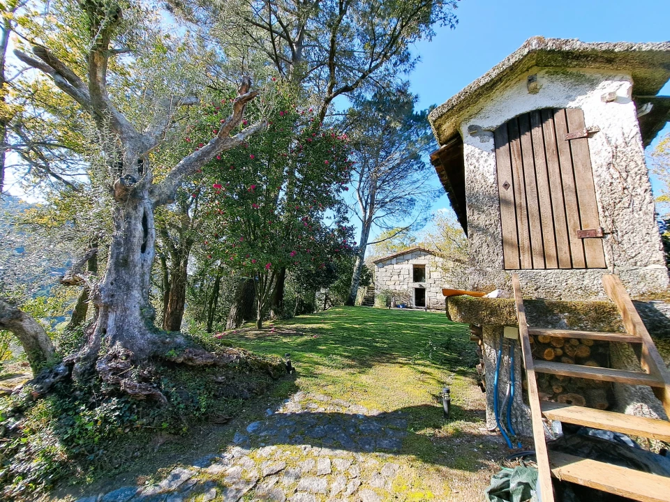 Quinta T9 para Venda em Parada do Bouro Foto 33