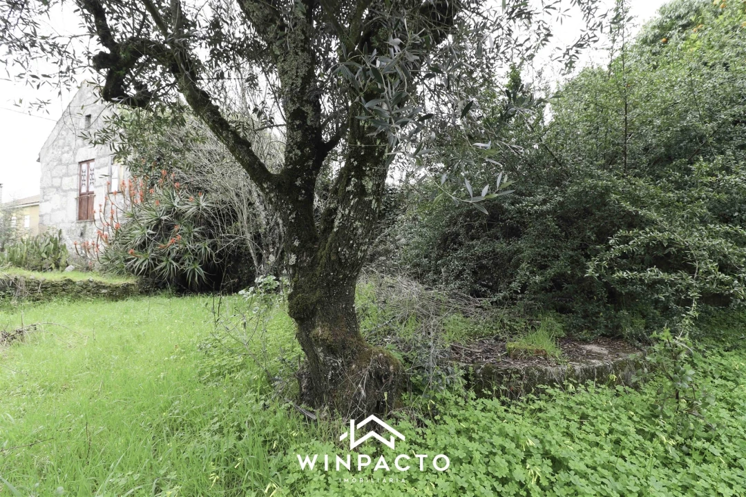 Moradia T3 para Venda em Lapa do Lobo Foto 35