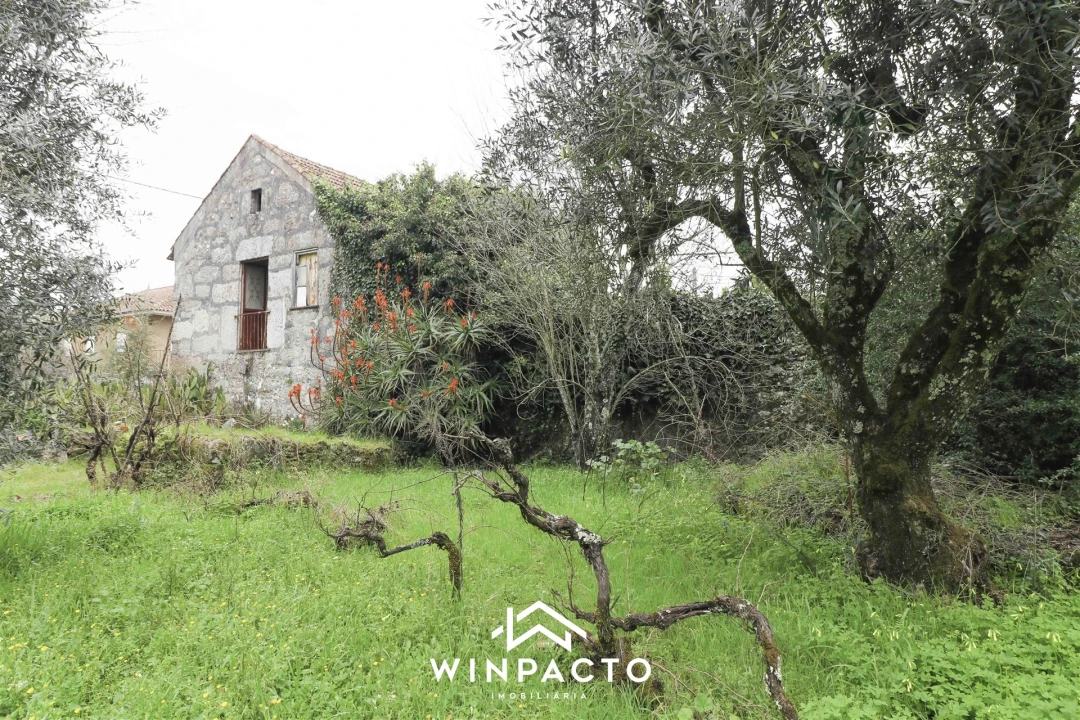 Moradia T3 para Venda em Lapa do Lobo Foto 3