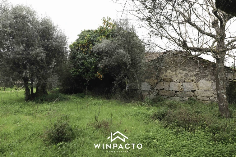 Moradia T3 para Venda em Lapa do Lobo Foto 13