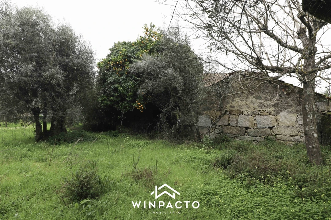 Moradia T3 para Venda em Lapa do Lobo Foto 13