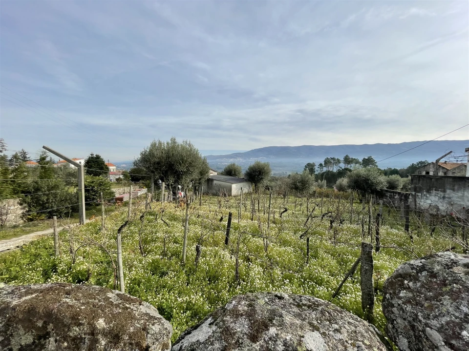 Quinta T5 para Venda em Rio Torto e Lagarinhos Foto 2
