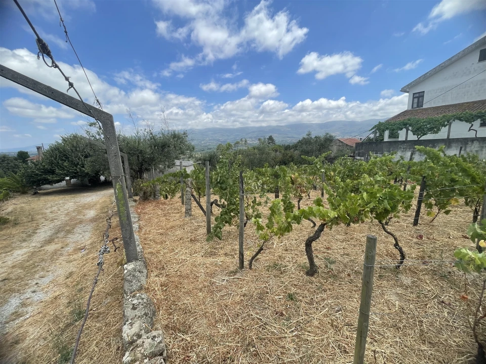 Quinta T5 para Venda em Rio Torto e Lagarinhos Foto 8