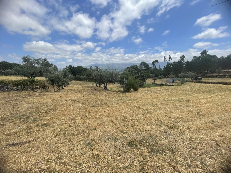 Quinta T5 para Venda em Rio Torto e Lagarinhos Foto 17