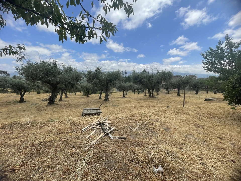 Quinta T5 para Venda em Rio Torto e Lagarinhos Foto 13