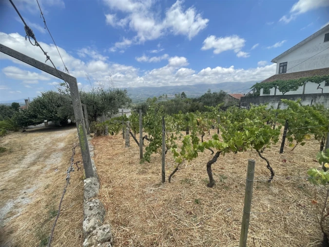 Quinta T5 para Venda em Rio Torto e Lagarinhos Foto 8