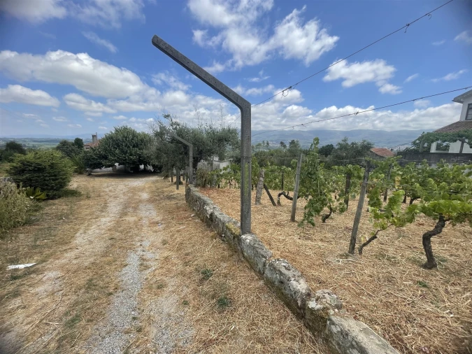 Quinta T5 para Venda em Rio Torto e Lagarinhos Foto 9