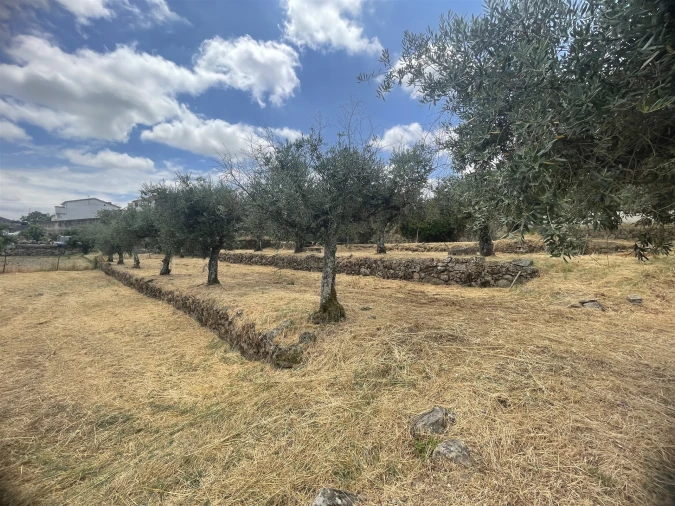 Quinta T5 para Venda em Rio Torto e Lagarinhos Foto 16