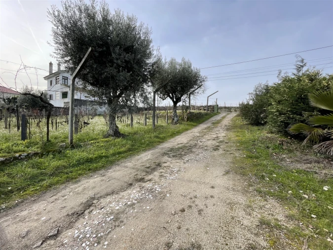 Quinta T5 para Venda em Rio Torto e Lagarinhos Foto 6