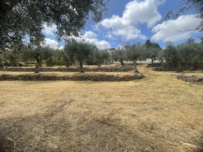 Quinta T5 para Venda em Rio Torto e Lagarinhos Foto 18