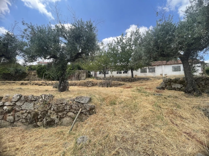 Quinta T5 para Venda em Rio Torto e Lagarinhos Foto 14