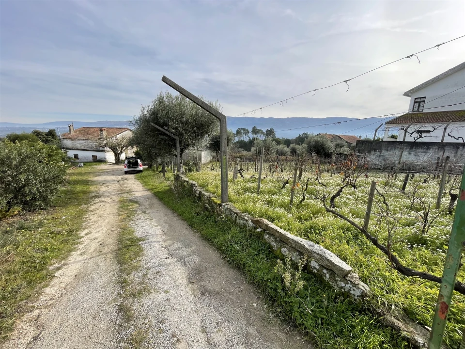 Quinta T5 para Venda em Rio Torto e Lagarinhos Foto 7