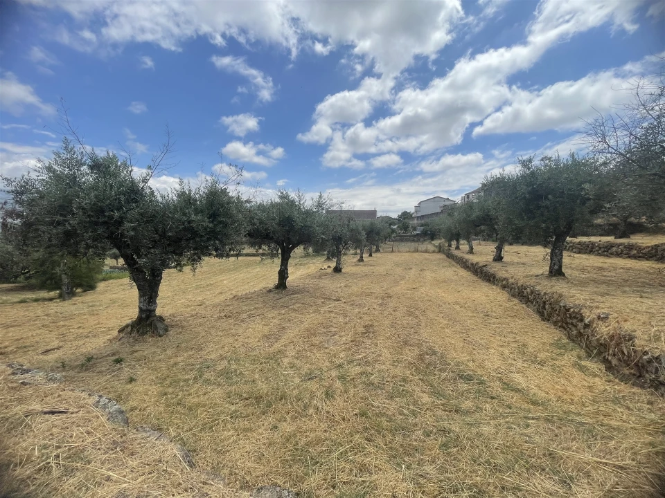Quinta T5 para Venda em Rio Torto e Lagarinhos Foto 15