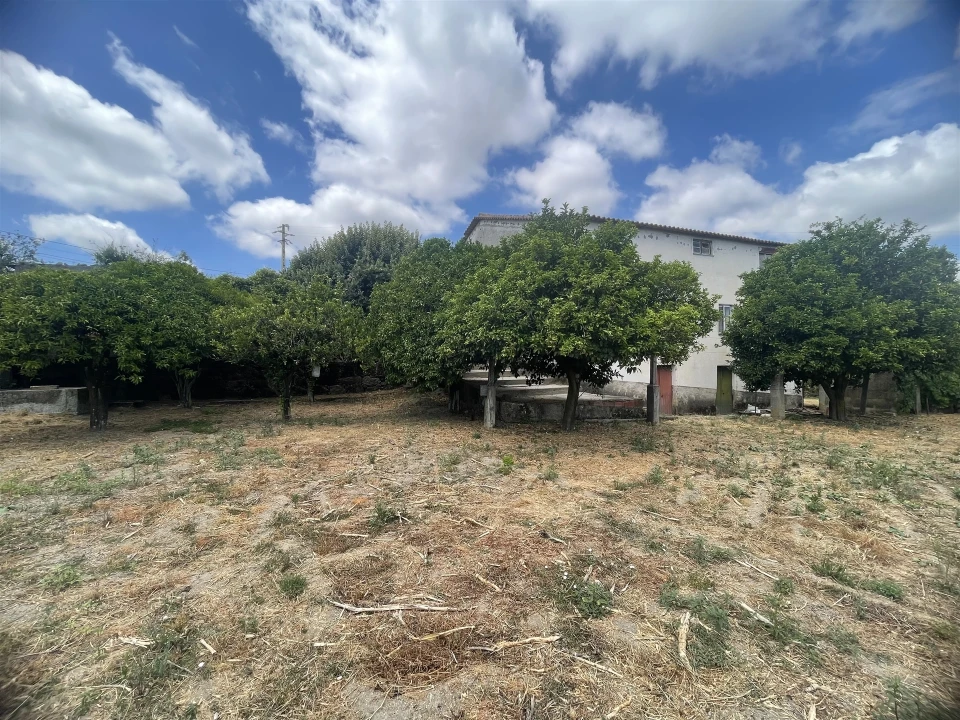 Quinta T5 para Venda em Rio Torto e Lagarinhos Foto 1