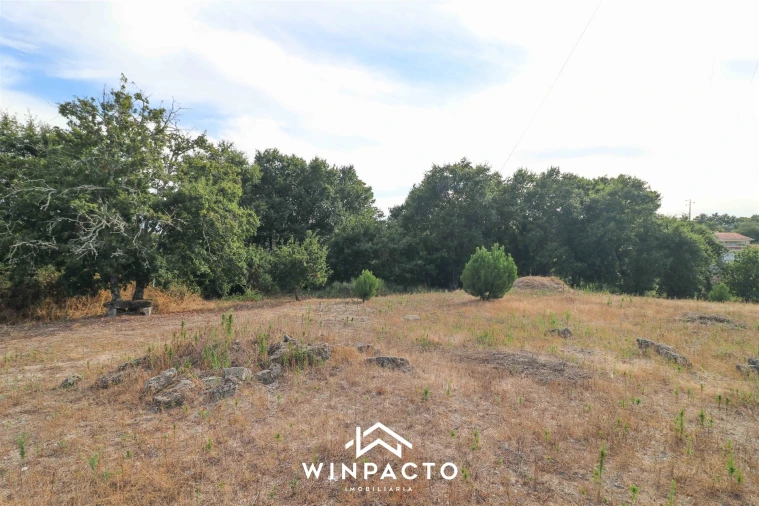 Terreno para Venda em Senhorim Foto 4