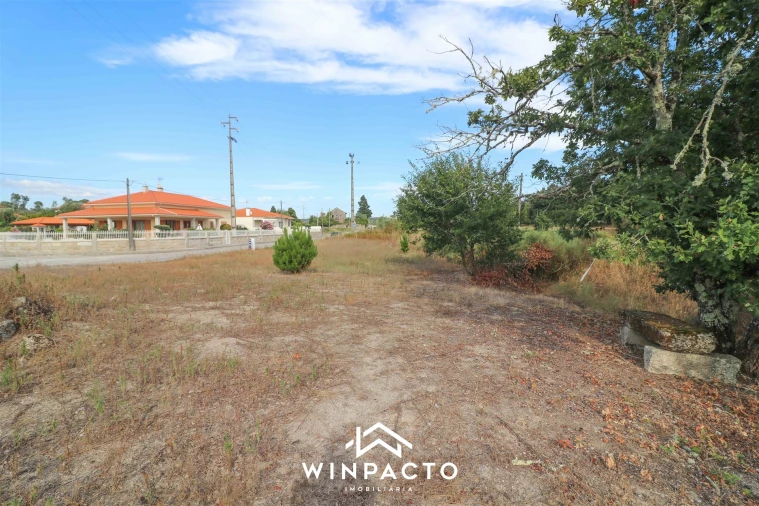 Terreno para Venda em Senhorim Foto 8
